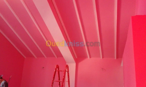 peinture inté/exté placo plâtre decora