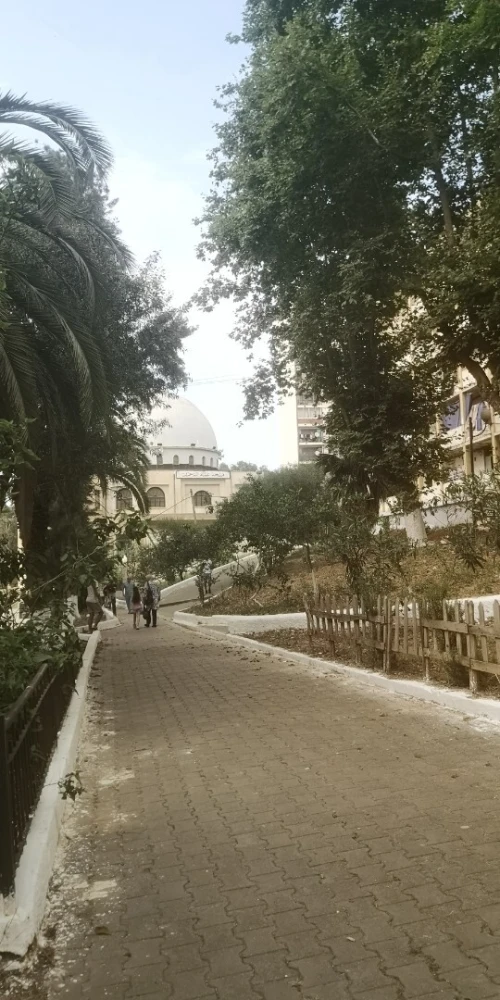 Vente Appartement F3 Alger Ben aknoun