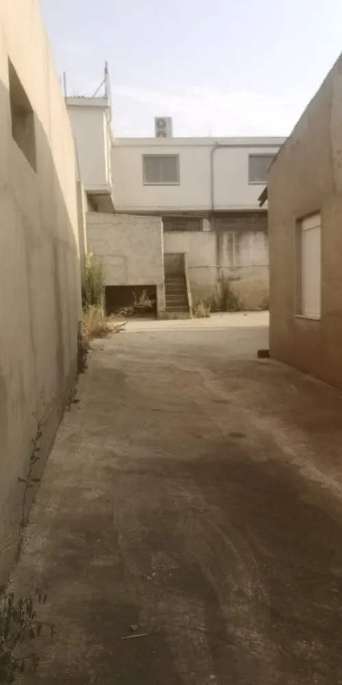 Vente Hangar Alger Rahmania