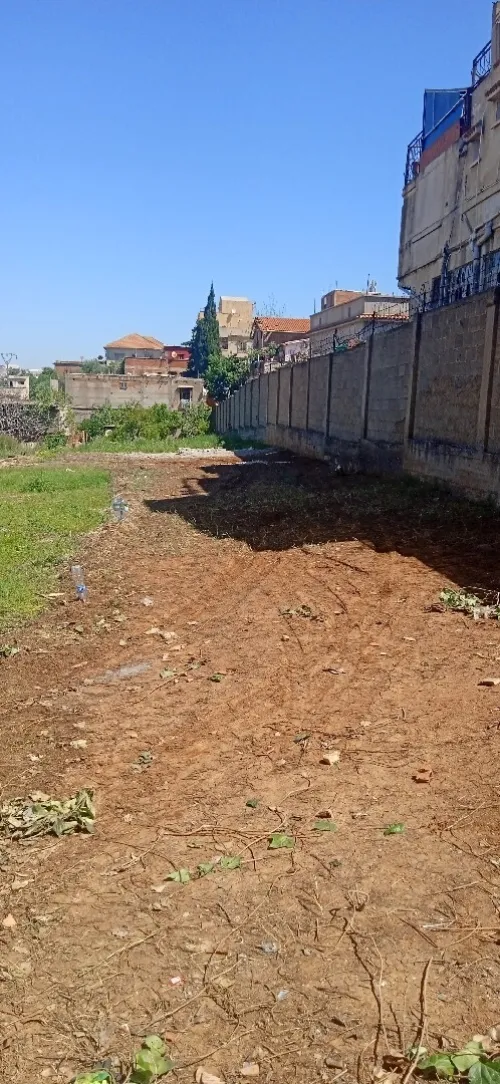 Vente Terrain Alger Saoula