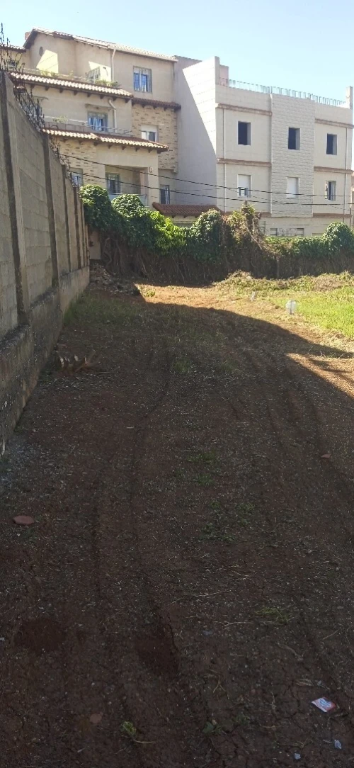 Vente Terrain Alger Saoula