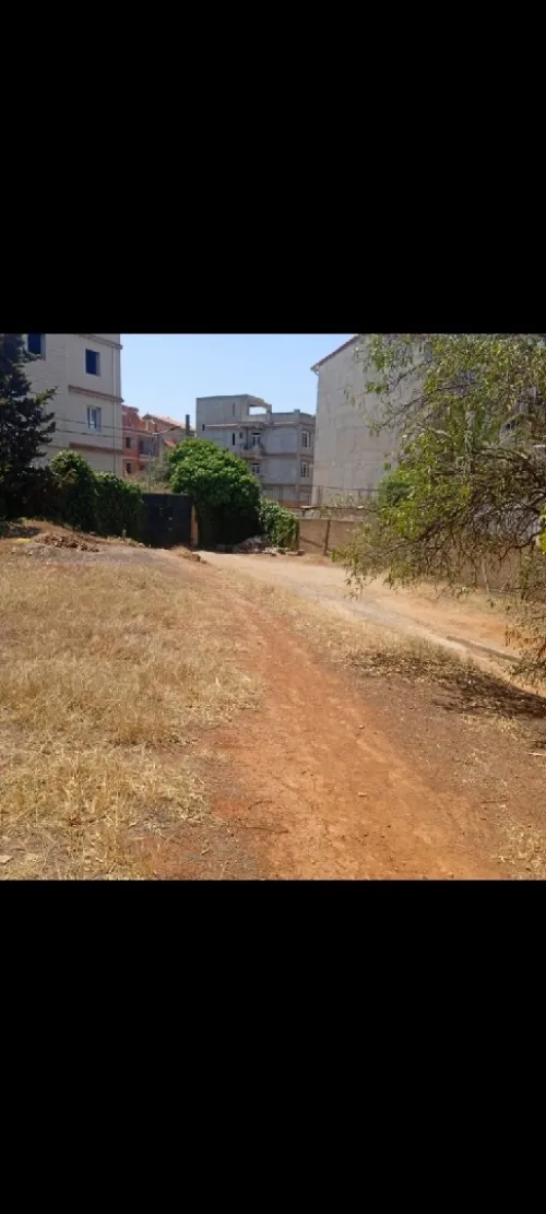 Vente Terrain Alger Saoula