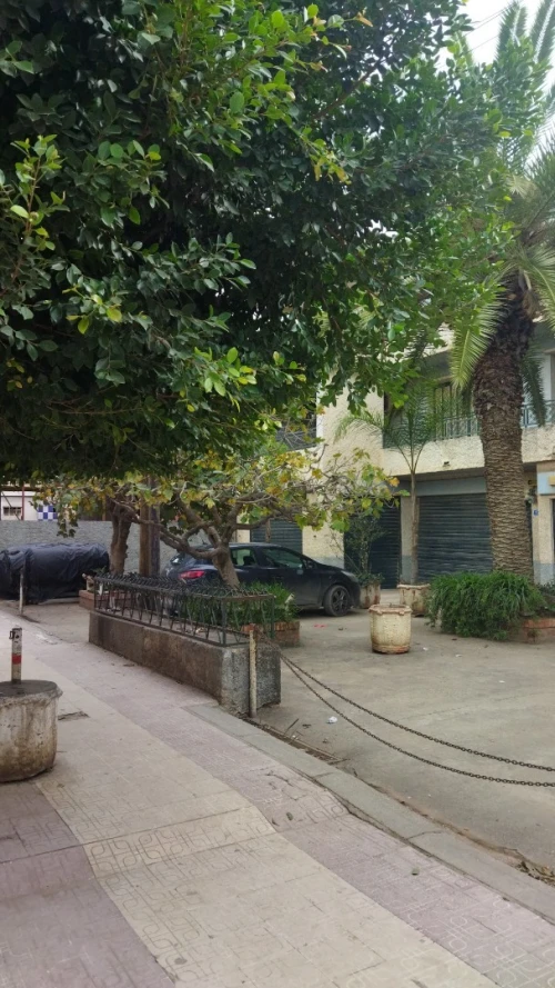 Vente Villa Blida Bougara