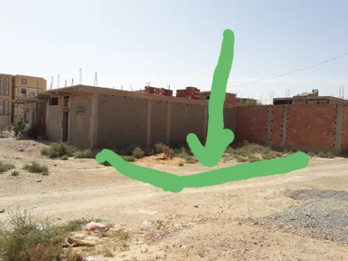 Vente Terrain Msila Ain el hadjel