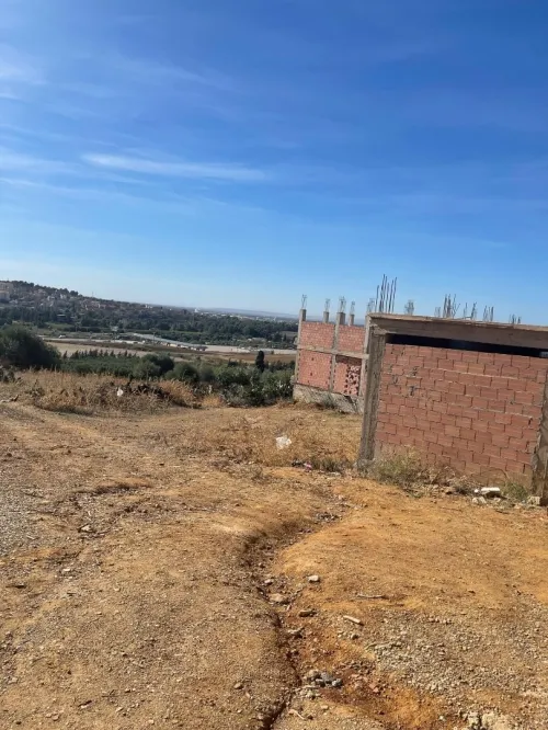 Vente Terrain Boumerdès Larbatache