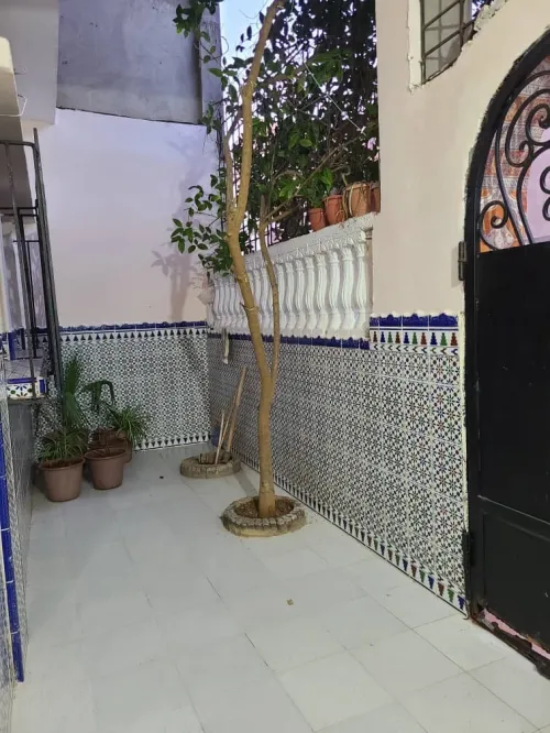 Vente Aïn Témouchent Beni saf