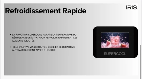 RÉFRIGÉRATEUR IRIS 400 L DEFROST IR-DD400