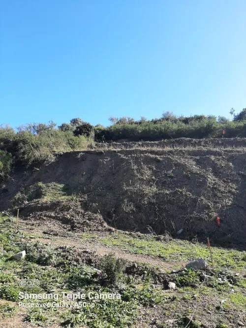 Vente Terrain Béjaïa Bejaia