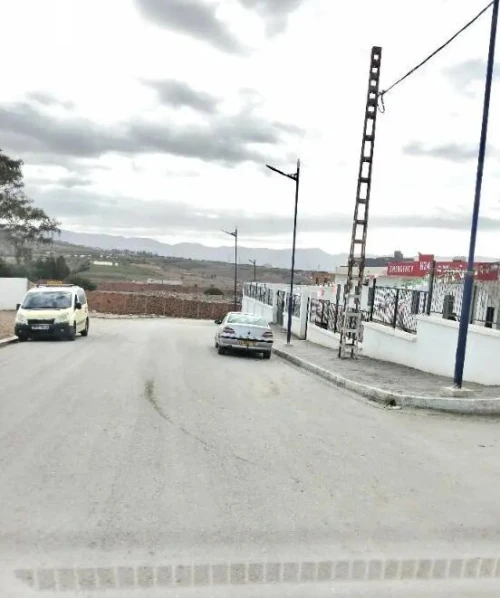 Vente Terrain Tlemcen Souahlia