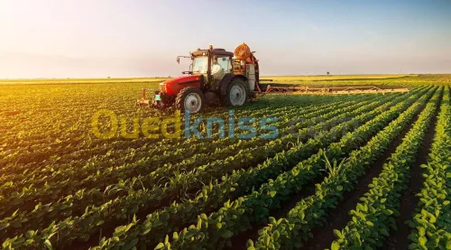 ETUDES DOMAINE AGRICOLE - الدراسات الفلاحية (Projet de mise en valeur de terre agricole .... ONTA)