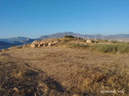 Vente Terrain Mila Sidi merouane