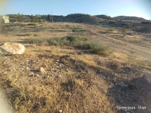 Vente Terrain Mila Sidi merouane
