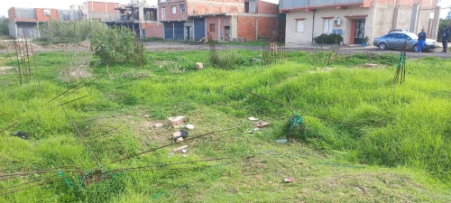 Vente Terrain Blida Boufarik
