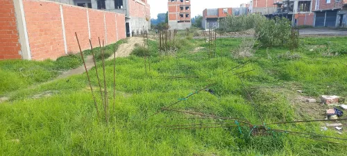 Vente Terrain Blida Boufarik