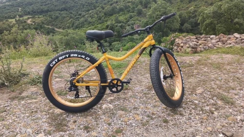 Vélo Trinx neuf