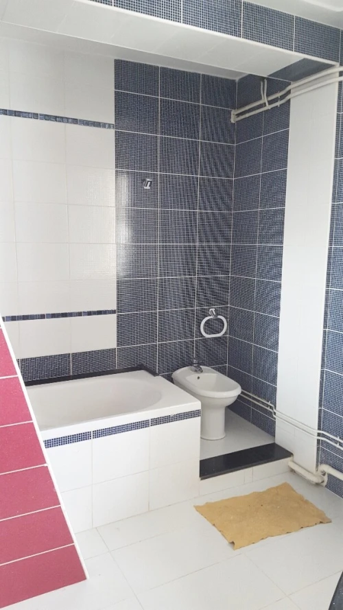 Vente Appartement F4 Alger Birkhadem