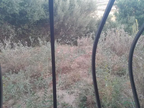 Vente Villa Blida Djebara