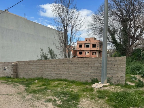 Vente Terrain Tlemcen Tlemcen
