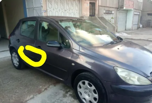 Peugeot 307 2004 307