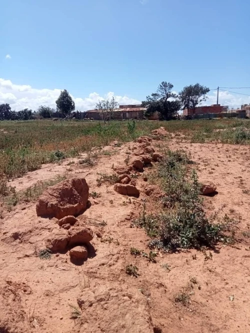 Vente Terrain Mostaganem Achaacha