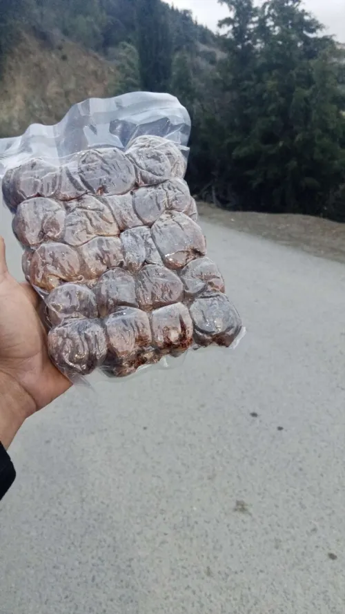 تيزي نبراهم ولاية سطيف