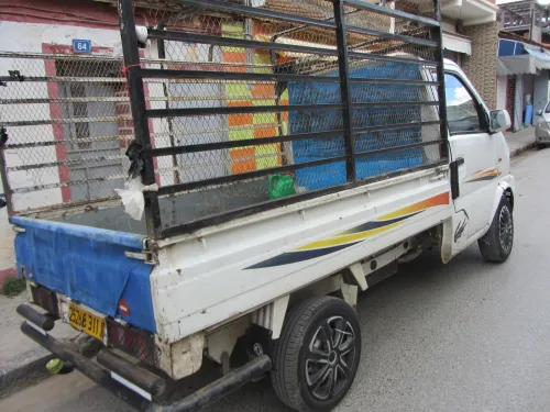 DFSK Mini Truck 2011 