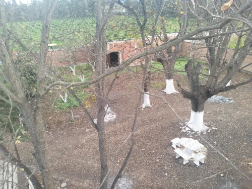 Vente Villa Blida Mouzaia
