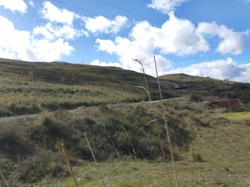 Vente Terrain Béjaïa Adekar