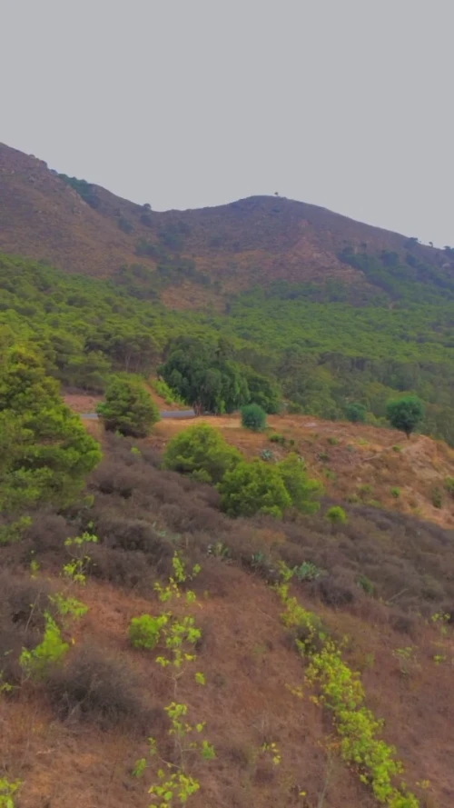 Vente Villa Tlemcen Marsa ben mhidi
