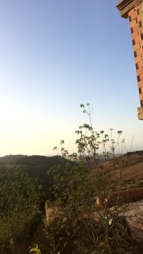 Vente Villa Tlemcen Marsa ben mhidi