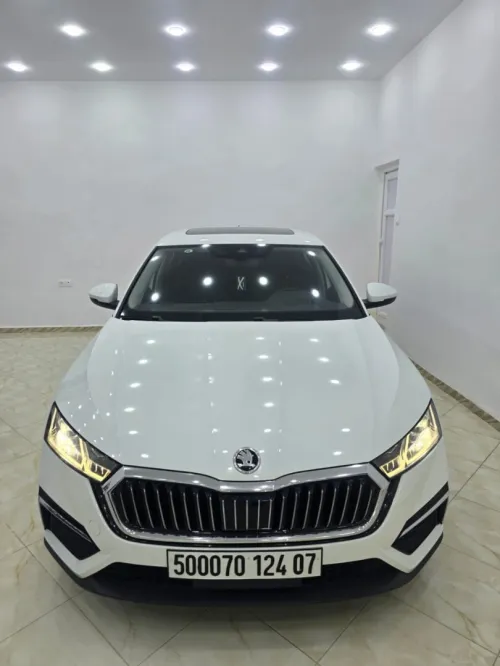 Skoda OCTAVIA 2024 PRO