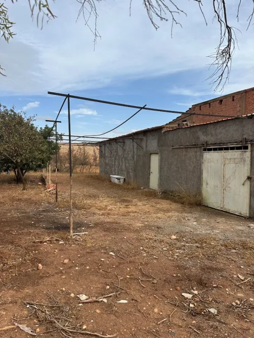 Vente Terrain Agricole Sidi Bel Abbès Sidi hamadouche