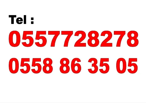 Location Appartement F3 Tizi Ouzou Tizi ouzou