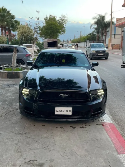 Ford Shelby 500GT 2014 Shelby 500GT