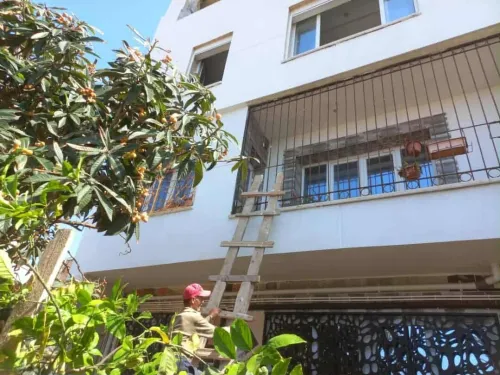 Vente Villa Tipaza Ain tagourait