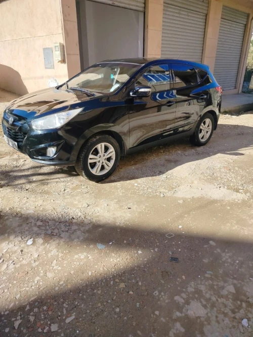 Hyundai Tucson 2011 Tucson