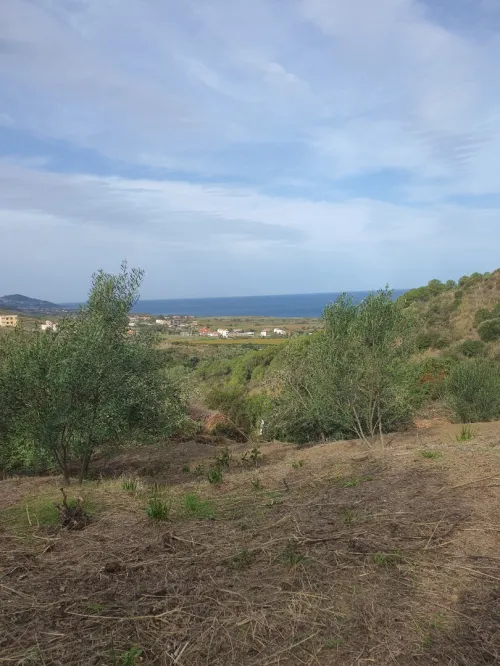 Vente Terrain Tizi Ouzou Azeffoun