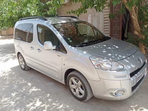 Peugeot Teppe 2012 Pertner Tepee
