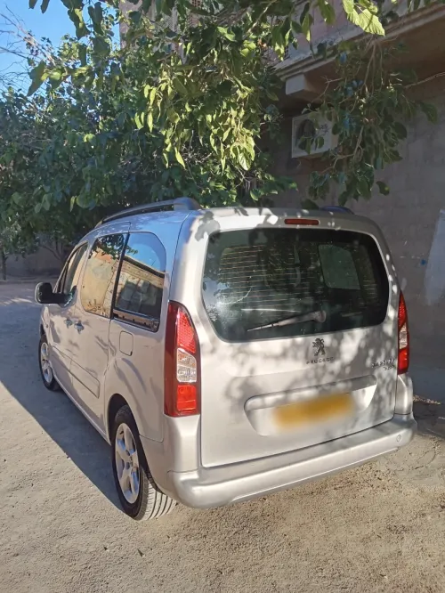 Peugeot Teppe 2012 Pertner Tepee