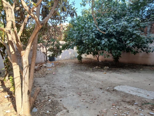 Vente Villa Tipaza Nador