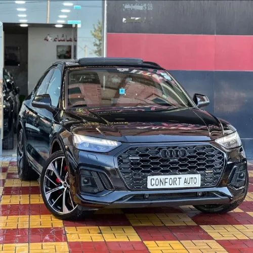 Audi Q5 2023 Slin