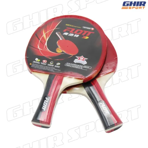 KIT RAQUETTE PING-PONG FLOTT | 00961