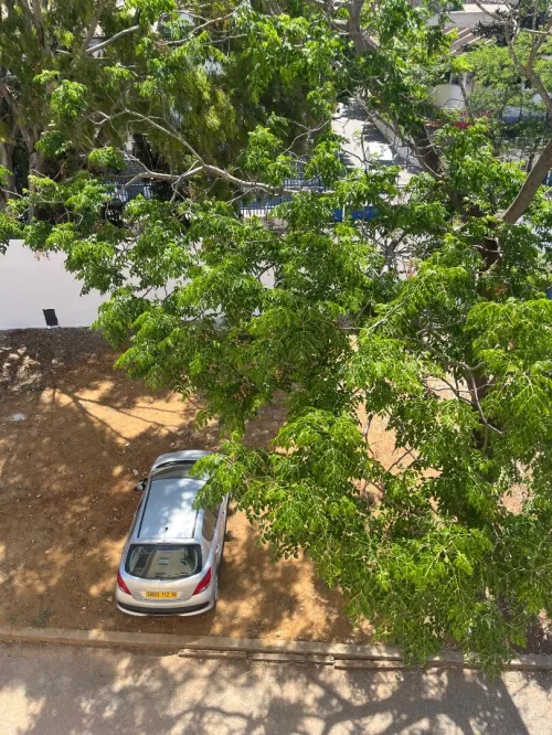 Location Appartement F3 Alger El magharia