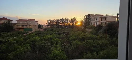 Location Appartement F3 Alger Birkhadem