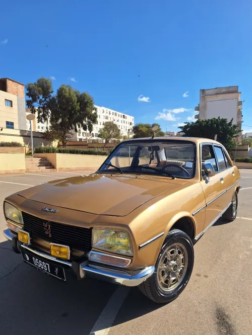 Peugeot 504 1976 504