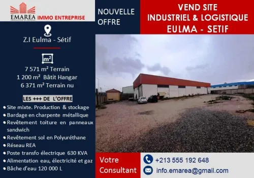 Vente Hangar Setif El eulma