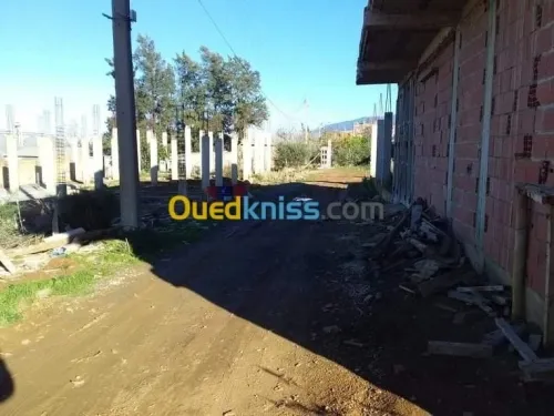 Vente Terrain Blida Chiffa