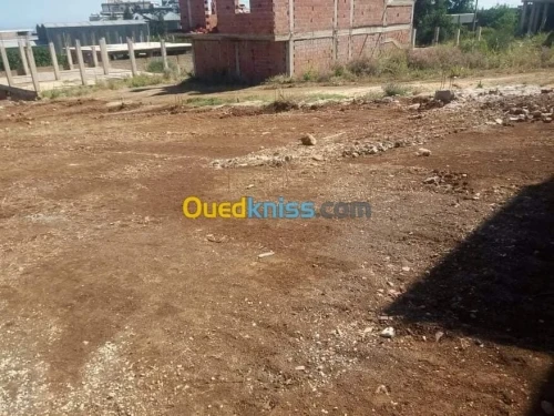 Vente Terrain Blida Chiffa