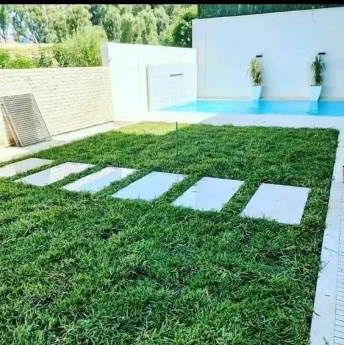 Gazon naturel عشب طبيعي 