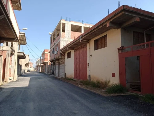 Vente Carcasse Blida Guerrouaou